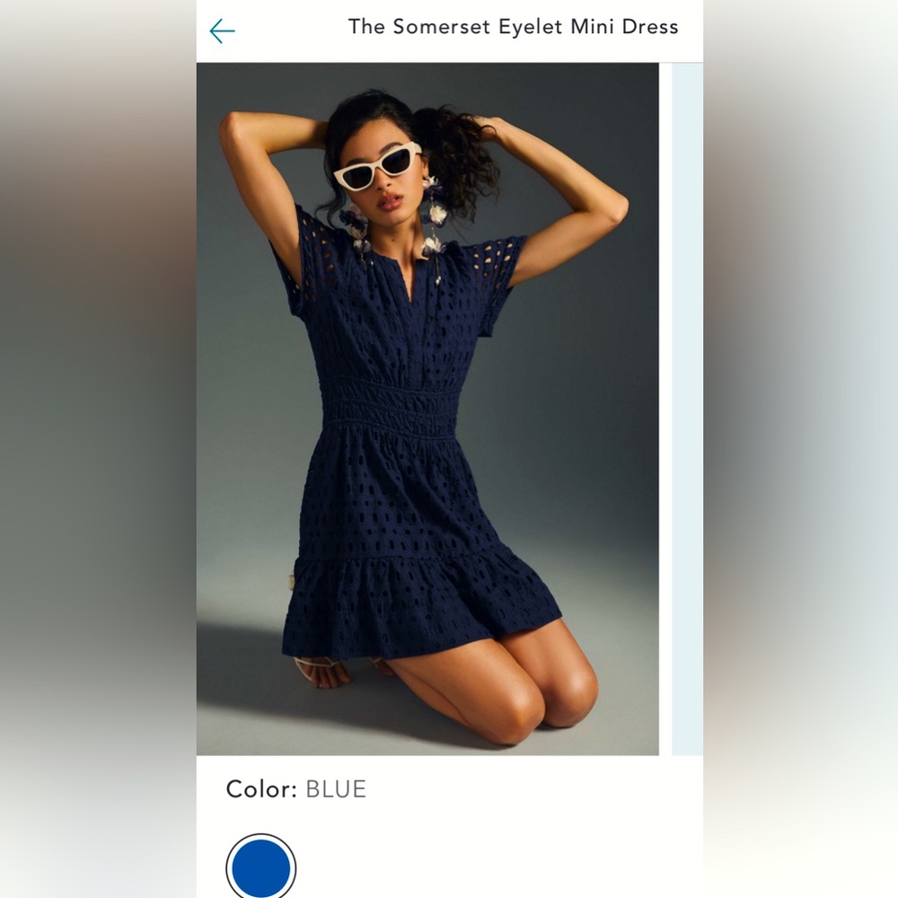 Anthropologie Blue Eyelet Mini Dress